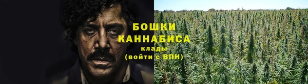 тгк Майский