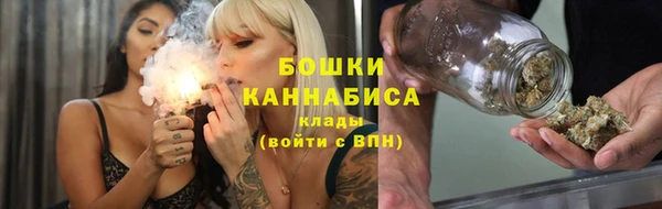мдпв Лиски